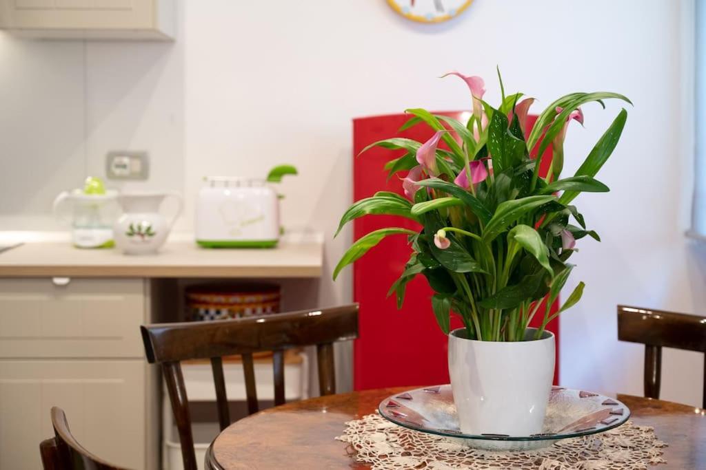 Casa Bouganville - St. Peter Romantic Appartamento *
